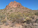 photo thumbnail #1