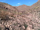 photo thumbnail #5