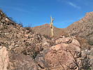 photo thumbnail #12