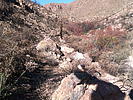 photo thumbnail #13