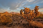 photo thumbnail #5