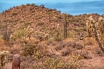 photo thumbnail #9