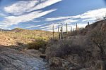 photo thumbnail #5