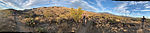 photo thumbnail #13