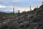 photo thumbnail #10