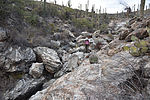 photo thumbnail #11