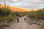 photo thumbnail #13