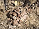 photo thumbnail #8