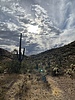 photo thumbnail #13