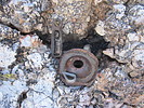 photo thumbnail #4
