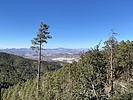 photo thumbnail #2