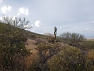 photo thumbnail #2