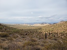 photo thumbnail #5