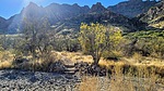 photo thumbnail #6