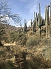 photo thumbnail #6