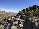 photo thumbnail #2