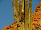 photo thumbnail #3