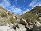2020-12-13 :2: Montezuma Sleeping :: Jim