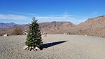 photo thumbnail #6