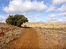 2020-12-11 :1: Hidden Treasure Mine - Antelope Hill, BCT :: kingsnake