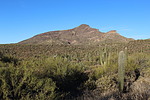 photo thumbnail #2