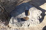 photo thumbnail #11