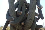 photo thumbnail #13
