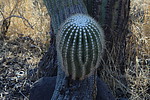 photo thumbnail #14