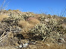 photo thumbnail #6