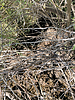 Featured Detail Photo