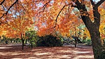 photo thumbnail #10