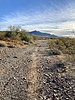 photo thumbnail #1