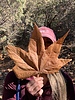 photo thumbnail #4