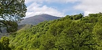 photo thumbnail #13