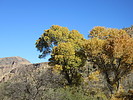 photo thumbnail #10