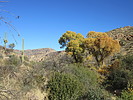 photo thumbnail #11