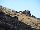 photo thumbnail #12