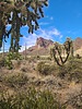photo thumbnail #14