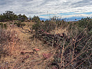 photo thumbnail #11