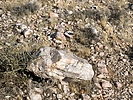 photo thumbnail #11