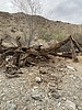photo thumbnail #15