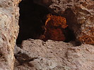 photo thumbnail #10