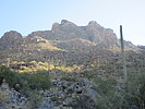photo thumbnail #8