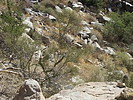 photo thumbnail #13