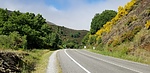 photo thumbnail #8