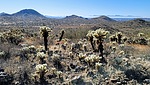 photo thumbnail #3