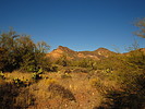 photo thumbnail #5