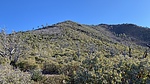 photo thumbnail #11