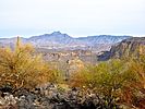 2020-12-17 :1: Black Mesa - Superstition Mountains :: kingsnake