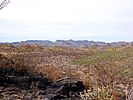 2020-12-17 :1: Black Mesa - Superstition Mountains :: kingsnake